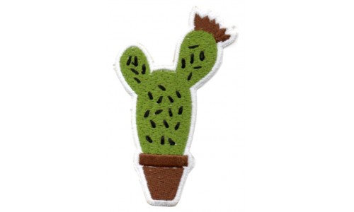 Pianta Cactus